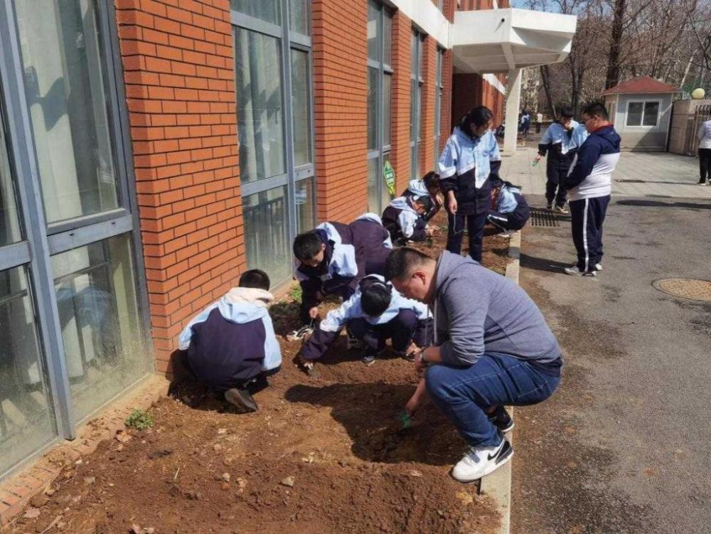 "青岛三十九中市北分校：让儿童在劳动课中玩转新鲜玩法"