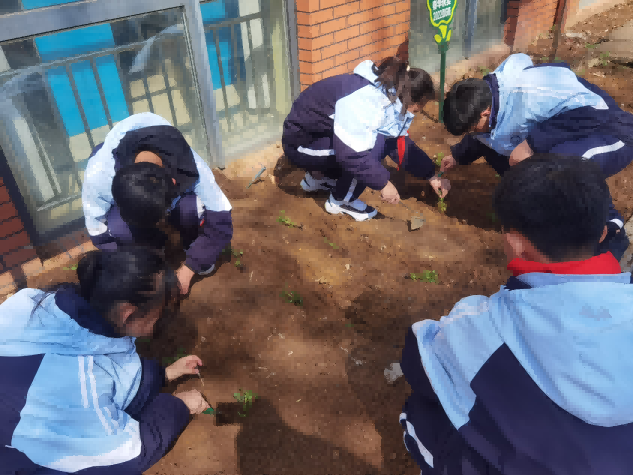 "青岛三十九中市北分校：让儿童在劳动课中玩转新鲜玩法"