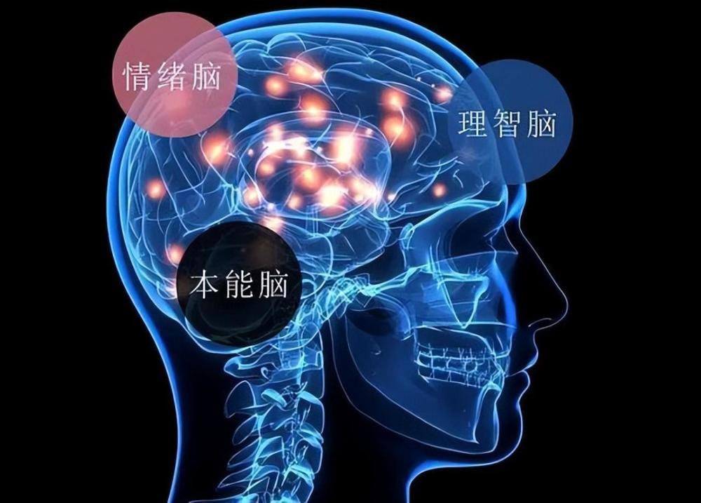 "为什么孩子在犯错后依然指责，是不是被宠坏了？"