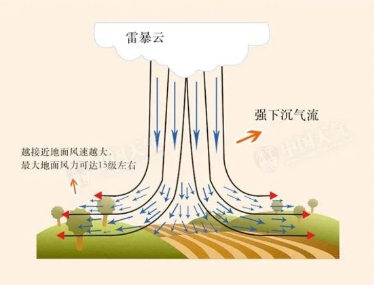 "究竟是