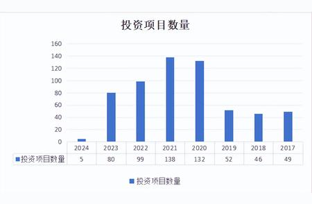 聚焦投资公司：揭秘中金资本，深度解析投资策略与业务布局