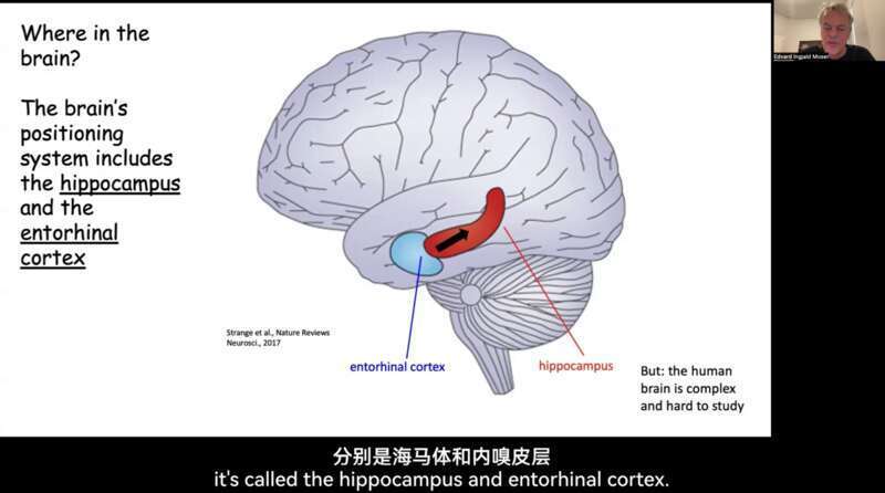 "科技巨头：创新思维解析AI耗能困境，引领未来智能革新"