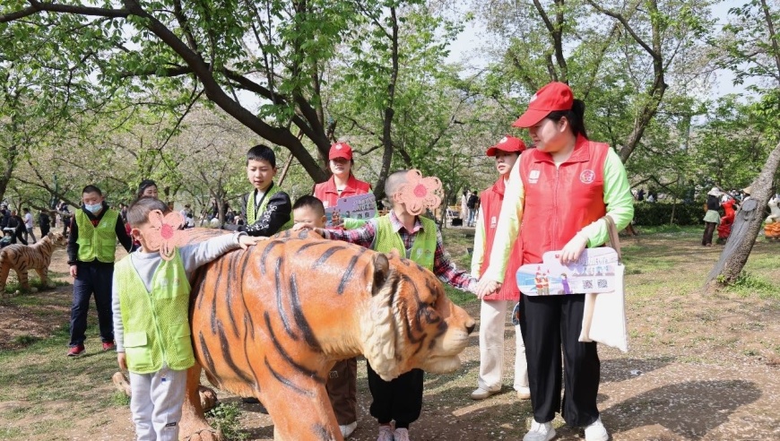 互动体验：与爱“童”行赏樱，文化旅游志愿者引领儿童感受春日之旅