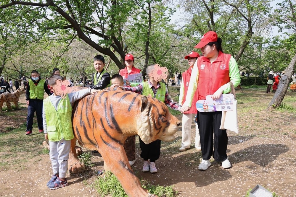 "互动体验：与爱“童”行赏樱，文化旅游志愿者引领儿童感受春日之旅"