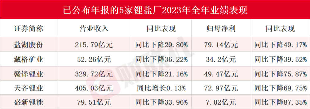 "2023年碳酸锂行业净利润下降：锂盐厂的颓势尽显？业内看法未定 | 行业动态"

"行业动荡：2023年碳酸锂利润下滑，价格仍有波动的空间 - 国内与国外的分析和观察 | 行业动态"