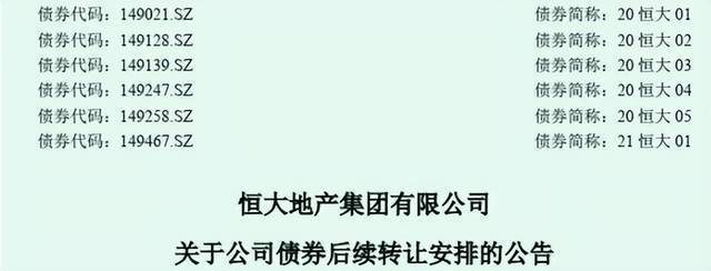 "恒大地产开启史上最大规模债券发行计划：共计253亿资金将被用于特殊投资项目"