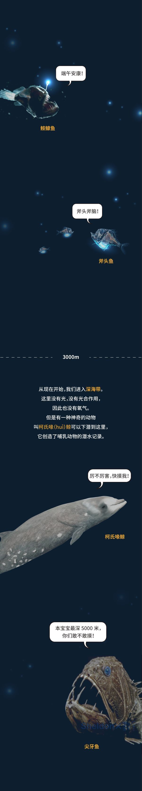 "在线大挑战：如何在高强度的工作环境下成功躲避压力，进行有效休息?"