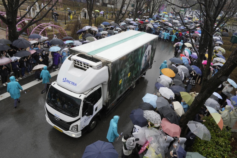 "韩国网民冒着大雨深情送别象征亚洲友谊的大熊猫福宝"