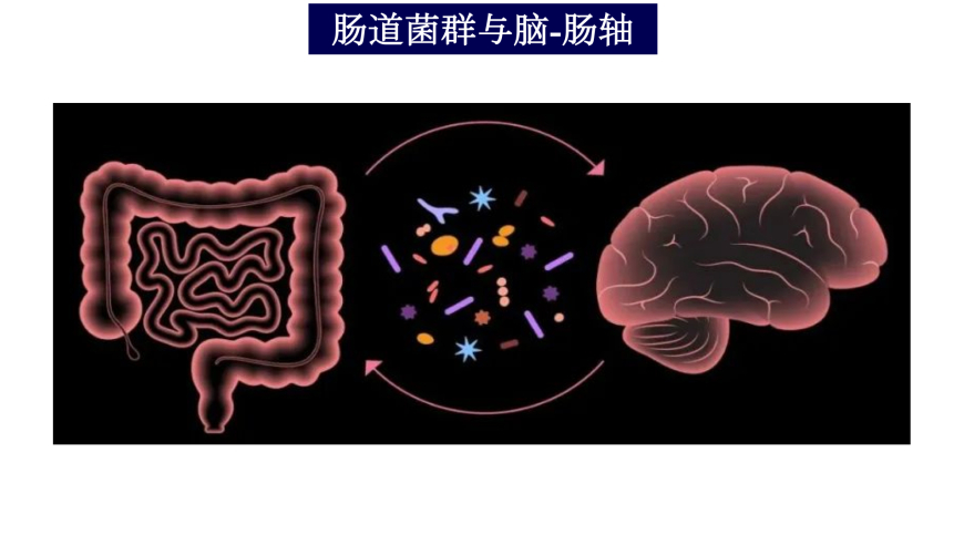 帕金森病并非唯一神经性脑疾病的早期预警标志，肠胃功能紊乱可能引发该病症。