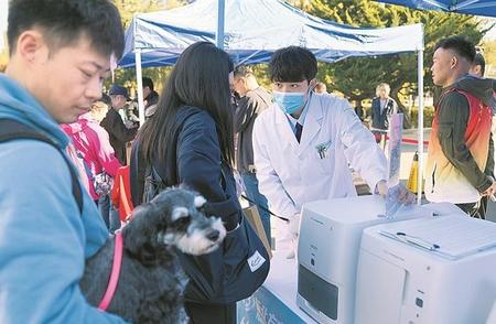 大连市推广文明养犬主题活动，打造和谐城市生活环境