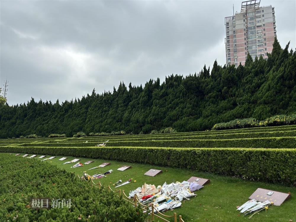 "陈延年、陈乔年烈士墓前花海祭奠：新篇《觉醒年代》续集下的一份致敬与思考"