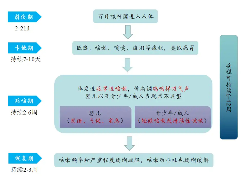 "咳嗽时疼痛加剧：百日咳再次显现！"