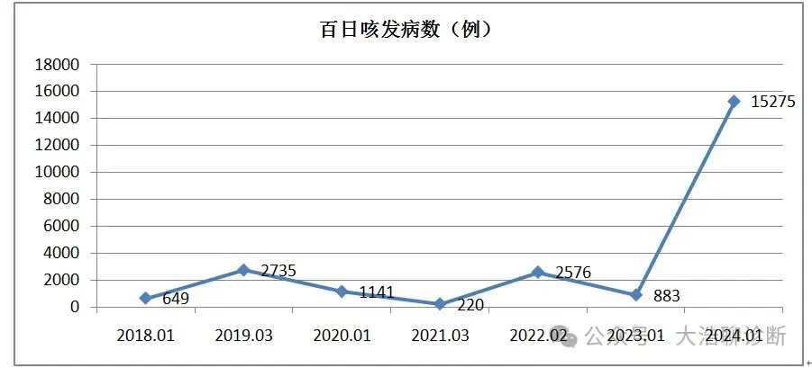 "咳嗽时疼痛加剧：百日咳再次显现！"