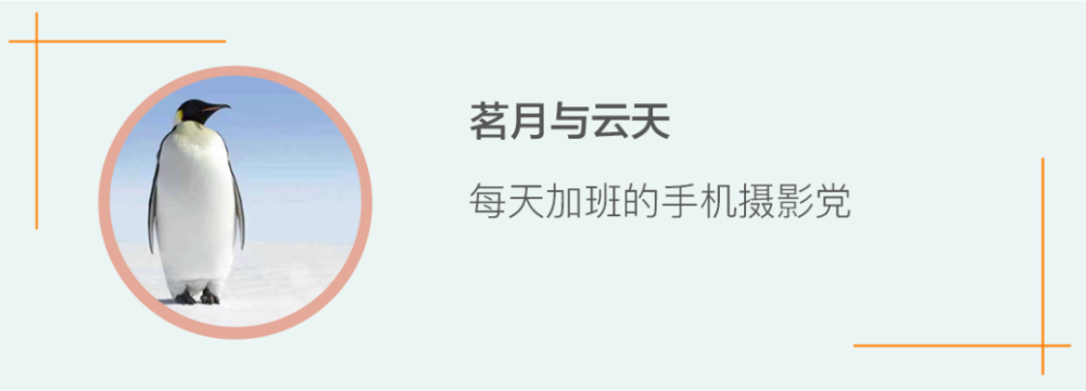 "一场意外，一段瞬间，只因一次突如其来的出租车车门突然打开！"

这个标题简洁明了，直接点出了事件的主要事实——一个意外发生的突发事件，同时使用了拟人的手法，将人比作“飞”的物体，增强了故事的吸引力和戏剧性。同时，“一次突变”，也暗示了事件可能带来的是未知的挑战或危险。