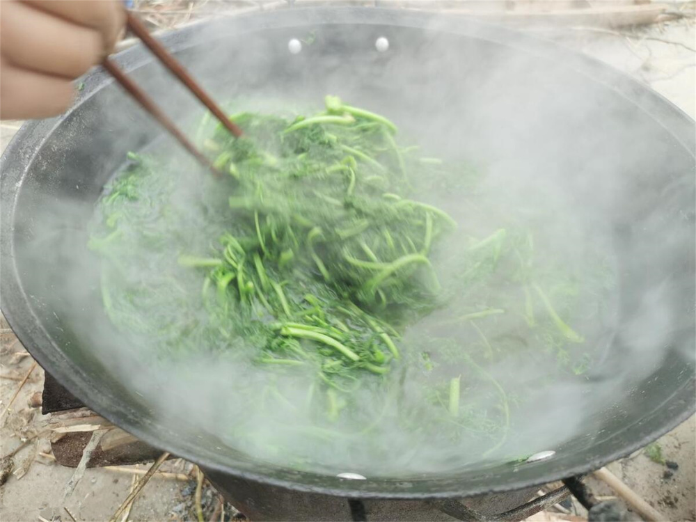 "春季食用野菜的三大注意事项：饮食之道贵在适度，谨记三吃三不原则"