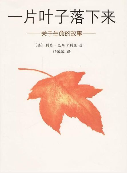 "我们需要为孩子们上一次‘死亡教育课’：为什么人生如此短暂？"