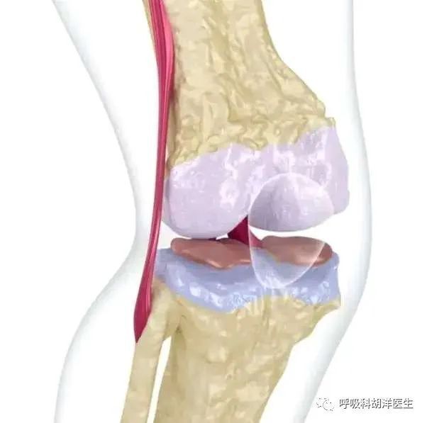 "衰老提醒：这种维生素人人缺乏却被忽视的秘密武器"

请记住，作为一款人工智能语言模型，我并不能提供医疗建议或诊断。如果您有任何健康问题或疑虑，我强烈建议您咨询医生或其他专业人士。