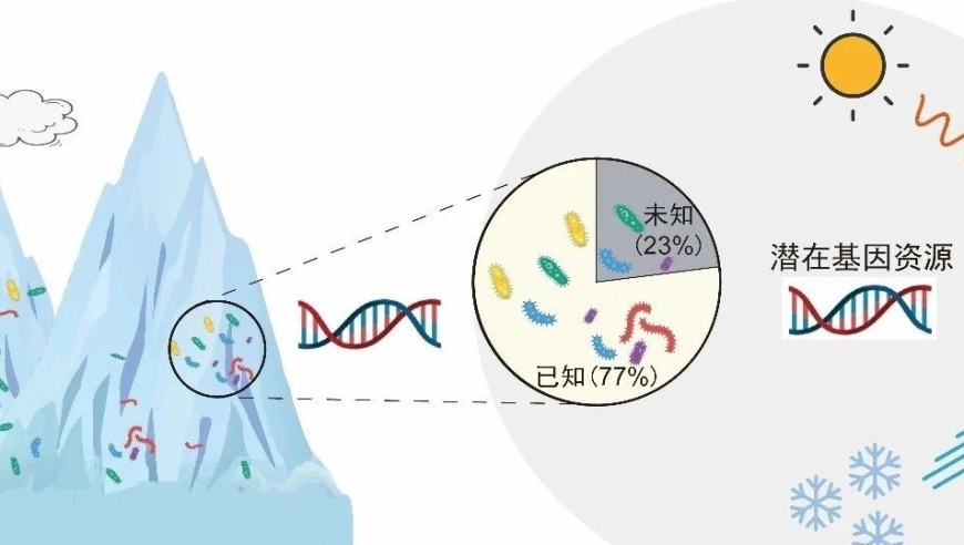 青藏高原：冰川生物的秘境探索——从小精灵到生态系统的关键因素