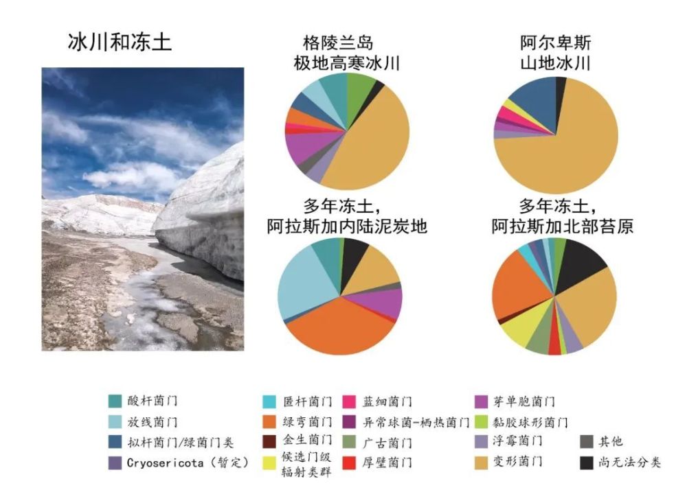 "青藏高原：冰川生物的秘境探索——从小精灵到生态系统的关键因素"