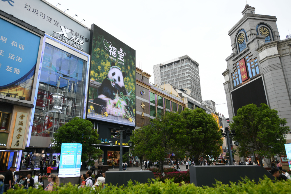 "《新华全媒＋》：四川成都，旅韩大熊猫“福宝”顺利抵店"