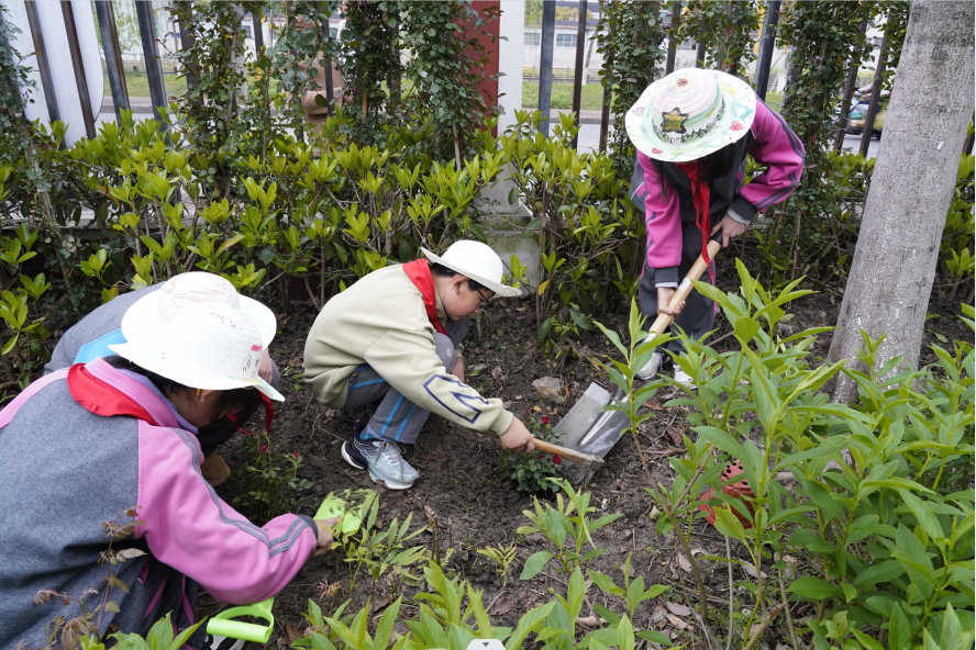 "孩子们用爱心播撒浪漫，闵行学校在春天收获生机勃勃的花朵"