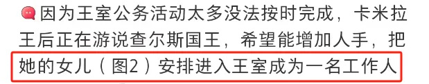 "英国王室宫斗：卡米拉争夺女婿，威廉哈利联手推动和平协议"