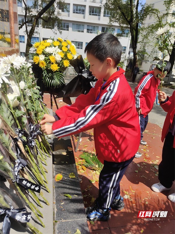 "怀念先烈，孩子们用鲜花和歌声寄托深情——铭记历史，缅怀先烈主题班会的实施与感悟"