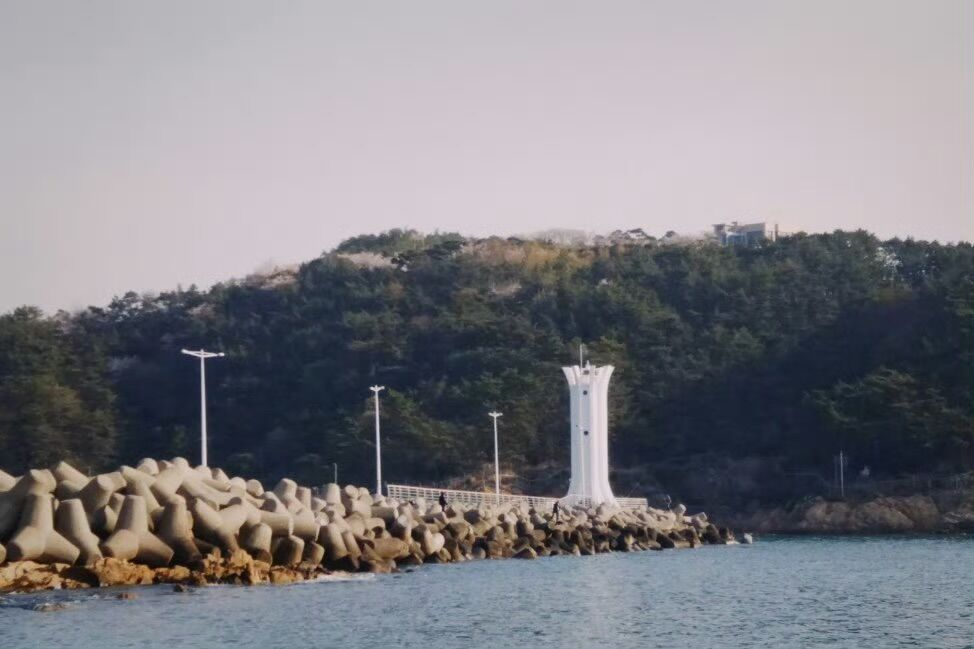 "川大团队成功研发防浪石型生物陶瓷颗粒，有望完全降解并转化为宿主自体骨"