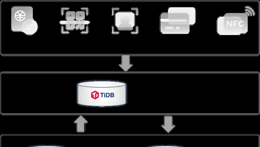 TiDB实战分享：第三方支付企业如何成功应对关键数据库升级挑战