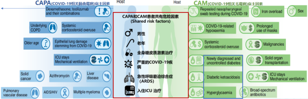 "周新教授：揭示侵袭性肺霉菌病，深入了解其20年的科学认知"