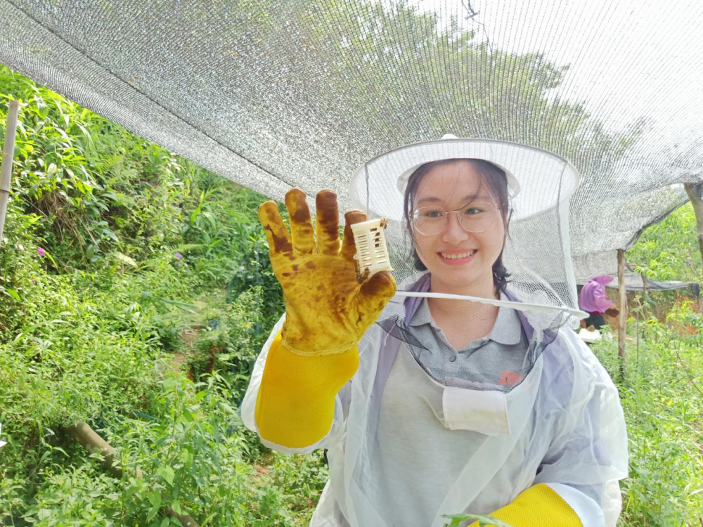 "岁月静好，网络同行——再次想念我们"