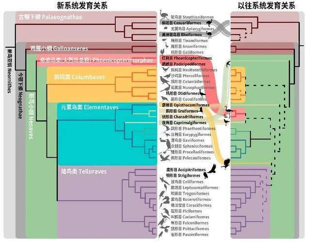 "美国最新确诊：首位" 牛传人"禽流感病例，科技聚焦"