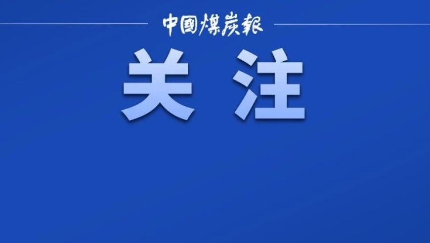 未来煤炭：提升价值的高效方式 - 访问FutureCoal首席执行官米歇尔