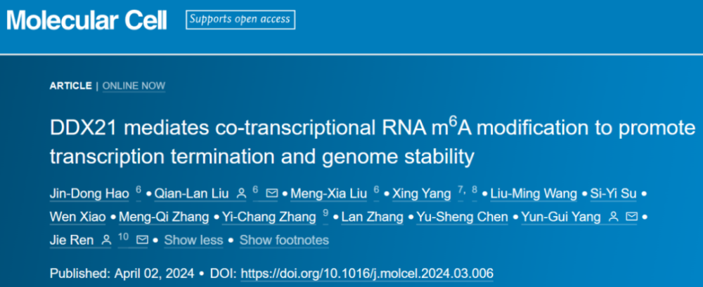 "双重大师揭示：Mol Cell - 中国科学院任捷/杨运桂研究揭示共转录m6A修饰的创新机制及其功能"