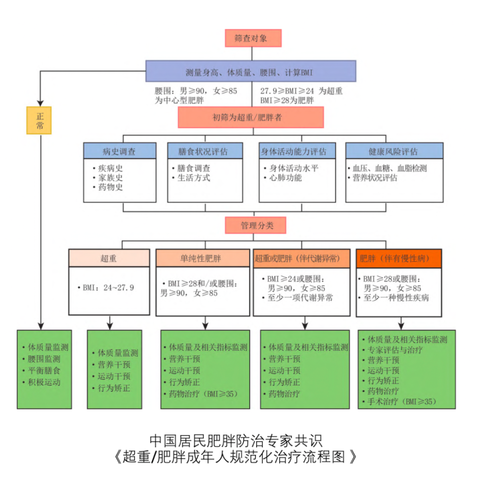 "别让你的体脂率超标，了解并实践健康的减脂方法"