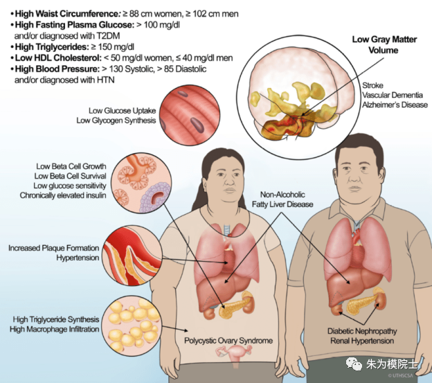 "揭秘：如何从「苹果」变为「肥肉」，科学告诉你造成女性中年发福的幕后推手"