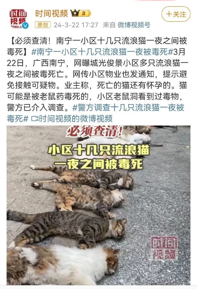 "网络平台的守护者：投入关爱，拯救城市生物多样性"