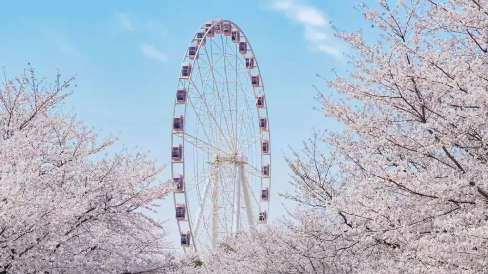 "春捂四处，一年无病！告诉你正确位置与时间的捂法和效果"

希望这个改进后的标题能帮助你更好地传达你的信息。