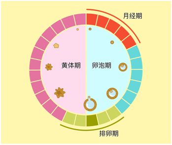 "明白经期乳房痛的原因，让你避免困扰"