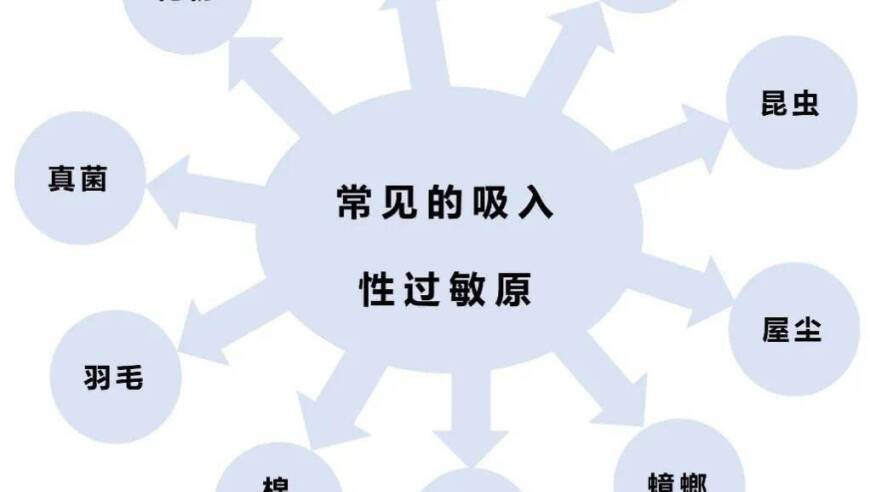 春季育儿难题：孩子打喷嚏鼻涕不止、如何应对过敏性鼻炎？