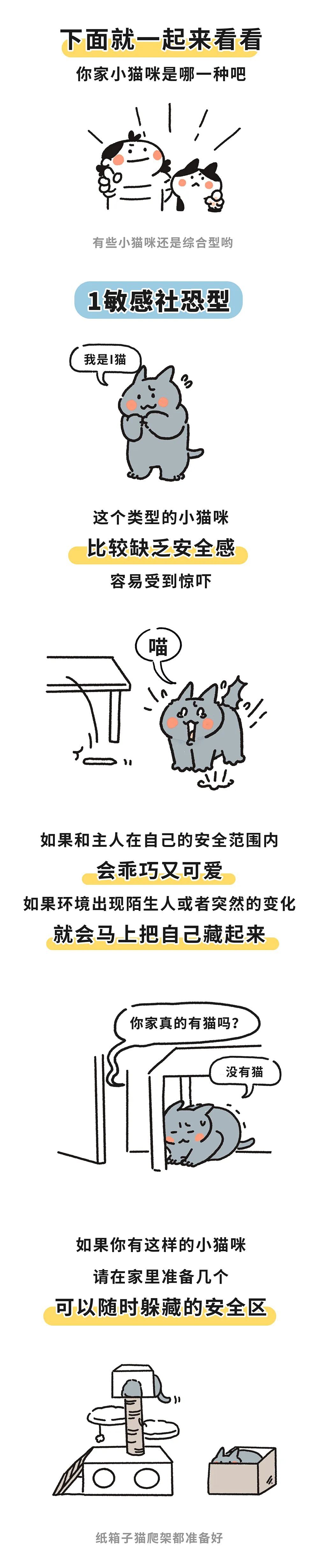 "揭秘小猫咪的五大性格特质：与MBTI更加精准的匹配度"