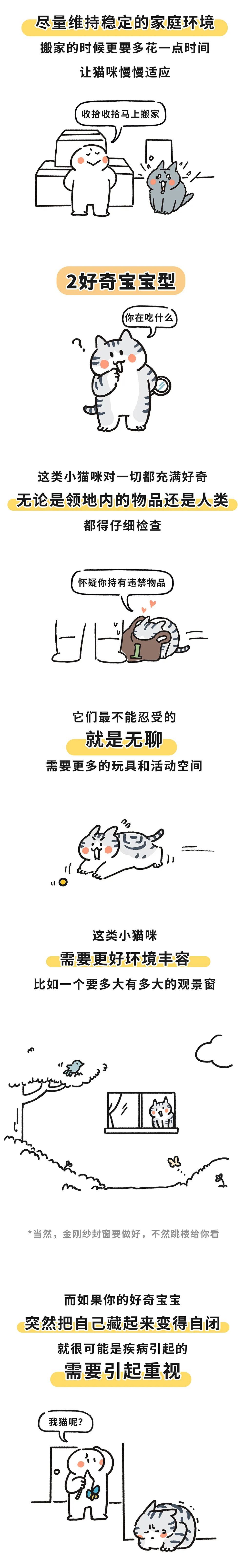 "揭秘小猫咪的五大性格特质：与MBTI更加精准的匹配度"