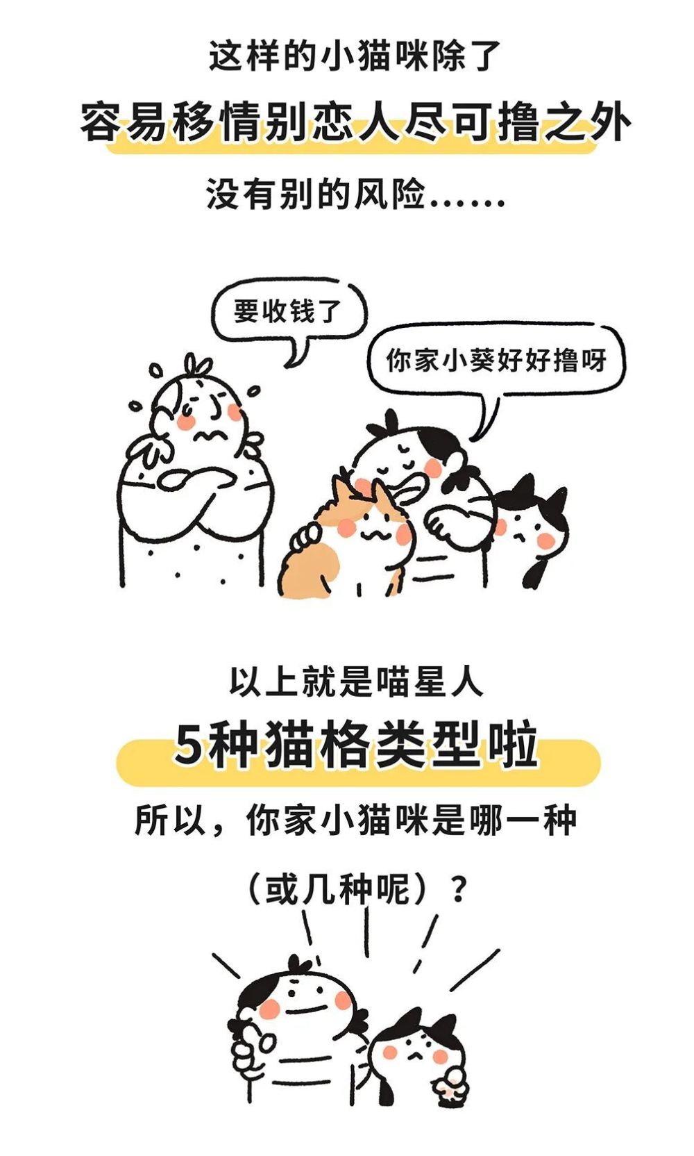 "揭秘小猫咪的五大性格特质：与MBTI更加精准的匹配度"