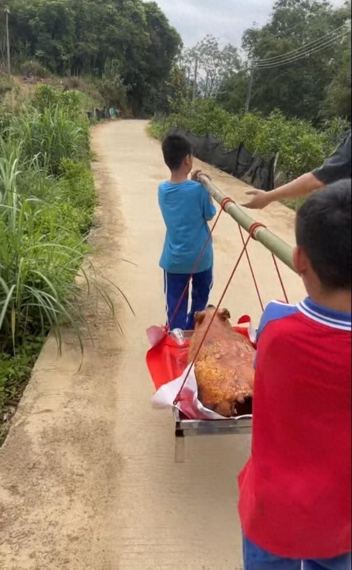 "甄子丹的清明祭祖之旅：他最接地气的形象令人印象深刻"