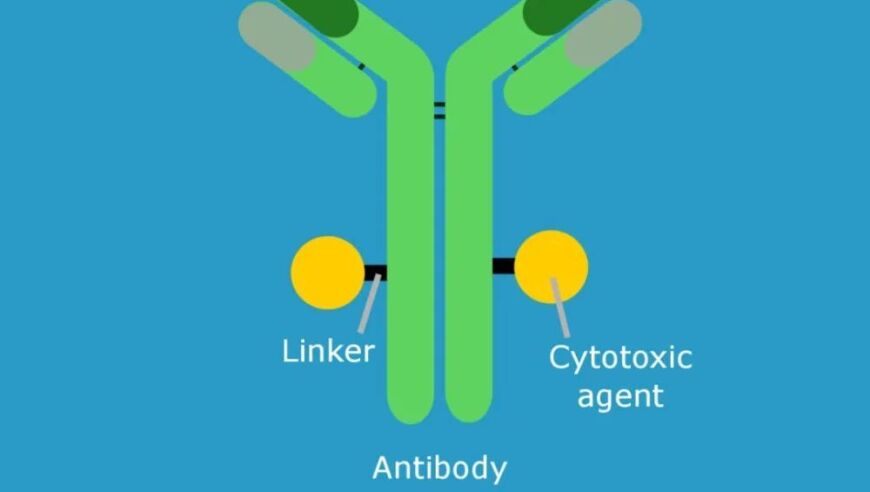 默克与AI生物科技公司Caris携手合作，共同推动新型ADC药物研发，刷新投资记录高达14亿美元!