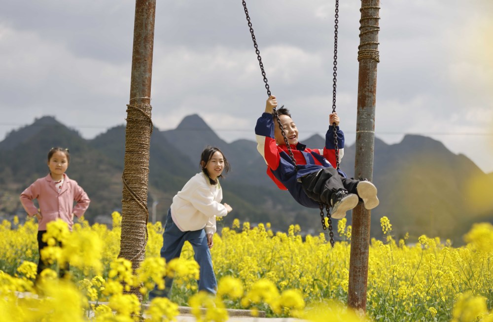 "清明时节赏花游，中式风情新体验——深度剖析清明文化旅游市场"