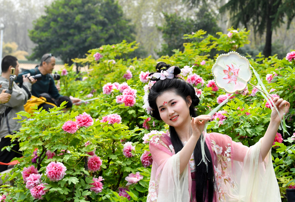 "清明时节赏花游，中式风情新体验——深度剖析清明文化旅游市场"