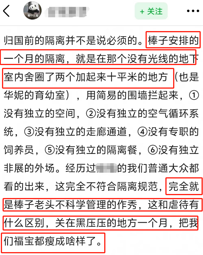 "熊猫福宝：中国的私人养猫狂潮？韩国娱乐风正在影响我们对熊猫的态度吗？"