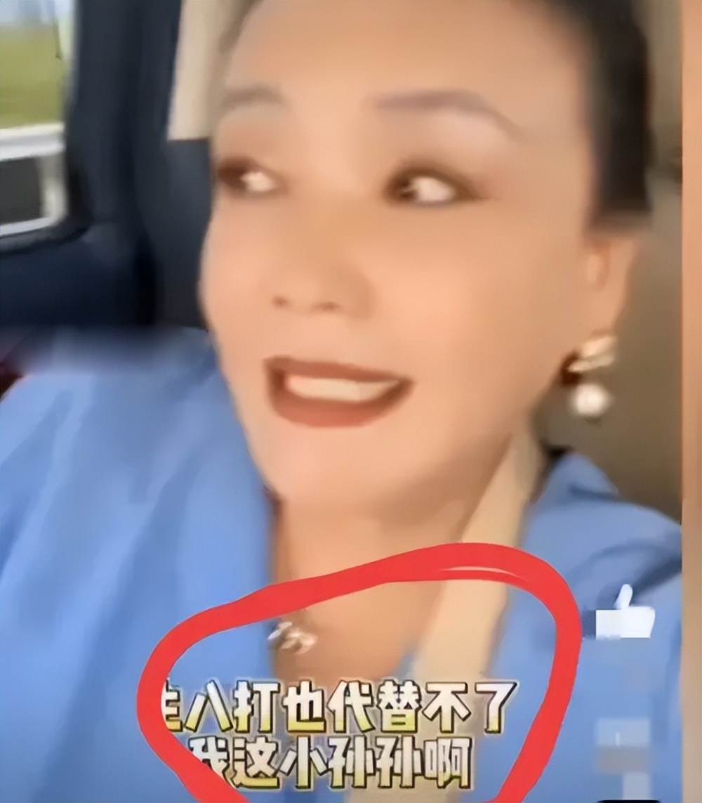 "网友急切催小菲再生娃，张兰语辞显示格局：小梅是否受影响？大S的态度如何？"