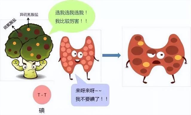 "是否应该尝试十字花科蔬菜对患有甲状腺疾病的患者的影响?"